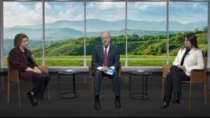 El peligro de las fincas abandonadas